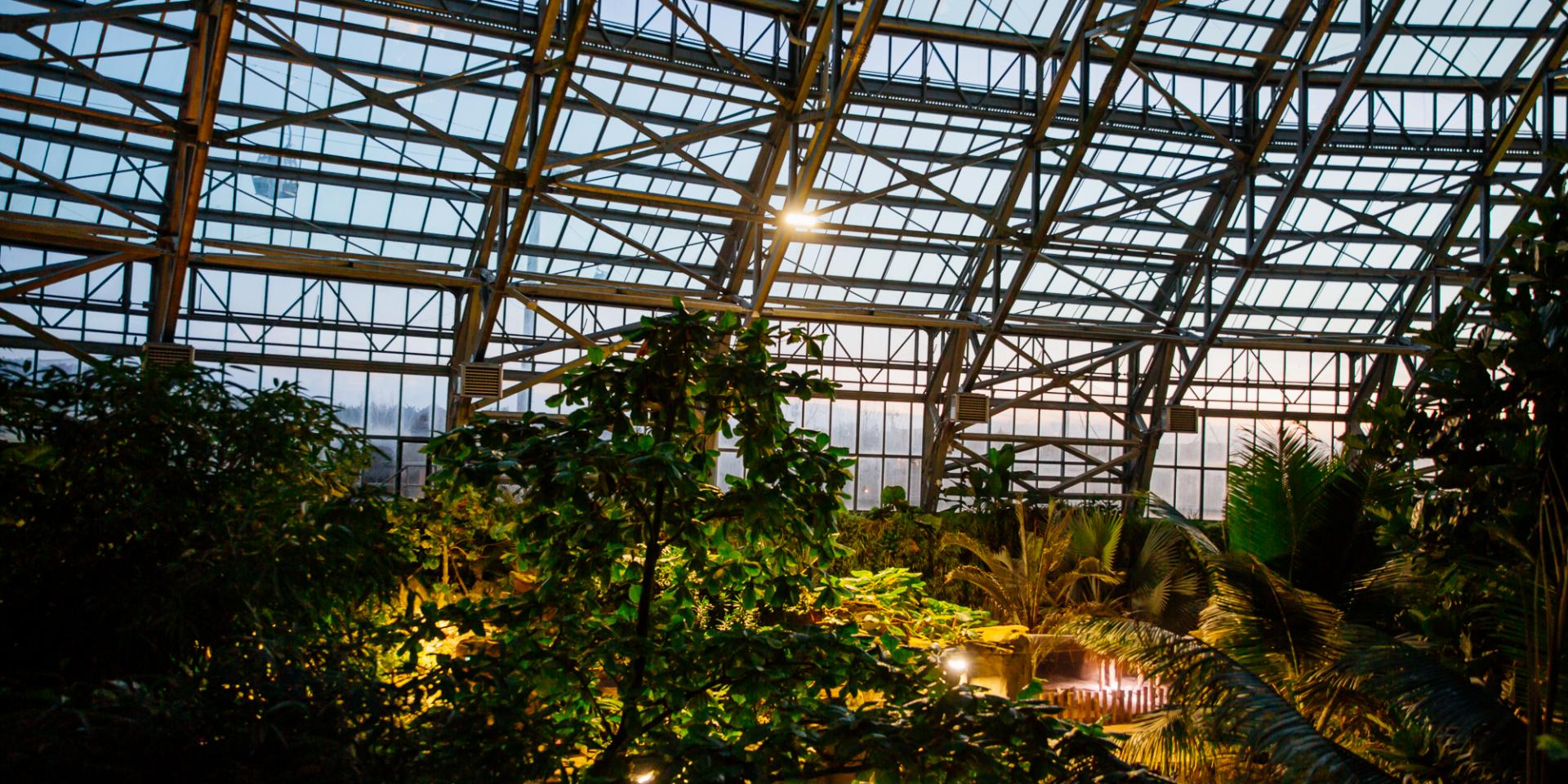 Zoo Beauval Sud Val De Loire Agence Les Conteurs 78