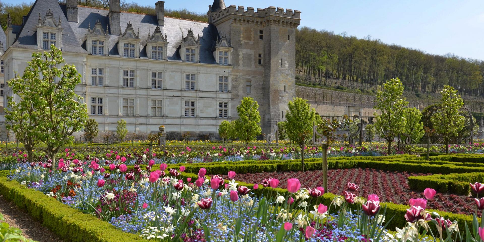 Chateauvillandry Potager Tulipes Credit Photo Chateau Et Jardins