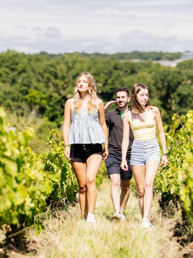15-idees-pour-15-jours-de-vacances-en-Sud-Val-de-Loire.jpg
