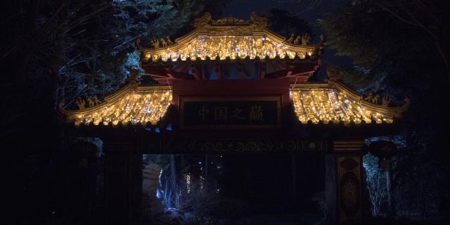 Acces Zone Chine Illuminations De Noel Zooparc De Beauval Sudvaldeloire