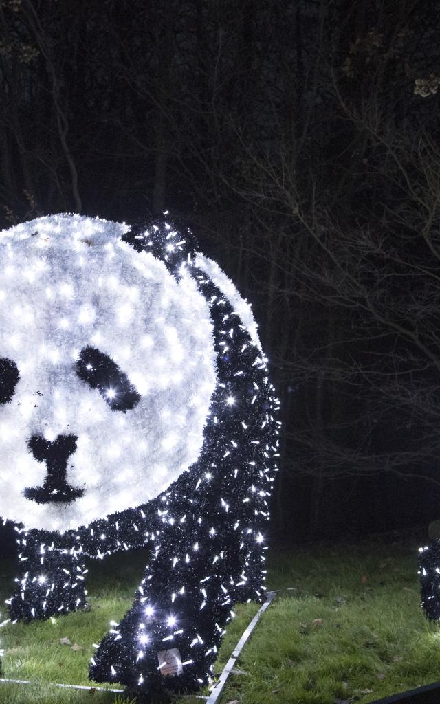 Illuminations De Noel Zooparc De Beauval Sudvaldeloire