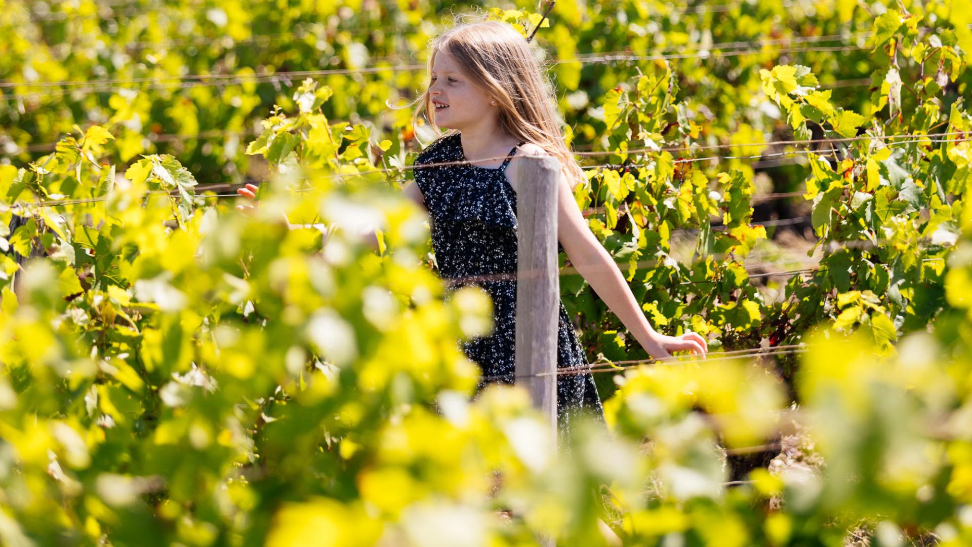 vignes-sud-val-loire-les-conteurs-7.jpg