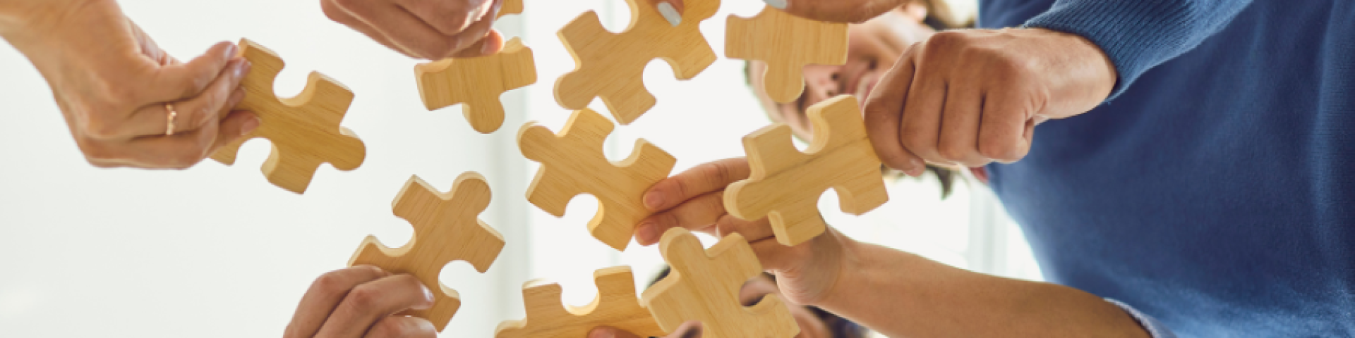 1 Organiser Team Building