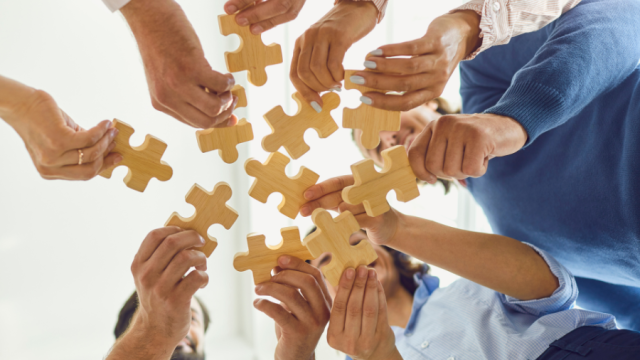 1 Organiser Team Building