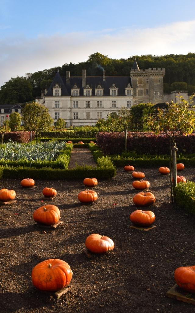 Château de Villandry Automne Activites