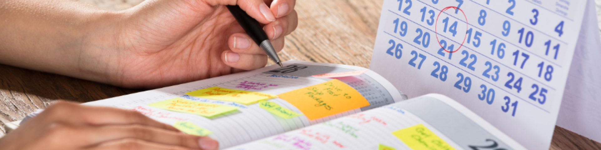 Marronnier 2024 | Sud Val de Loire