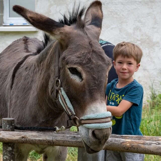 Enfant Les Anes De Madame Mir Photo Adt41