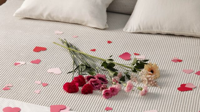 Hébergements Romantiques - Sud Val De Loire