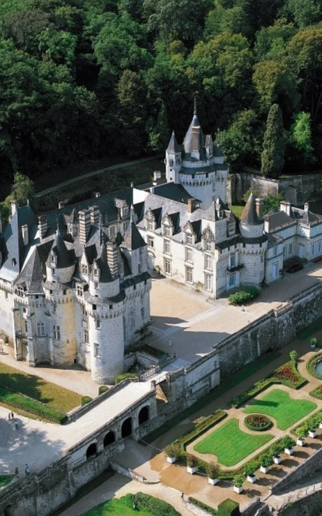 Chateau D Usse