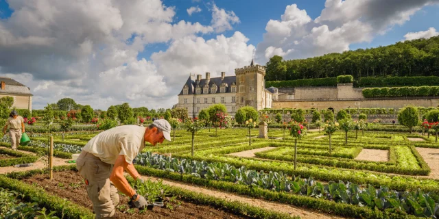 2 Les Jardins De Villandry Jean Christophe Coutand 2030 12 31 Medium