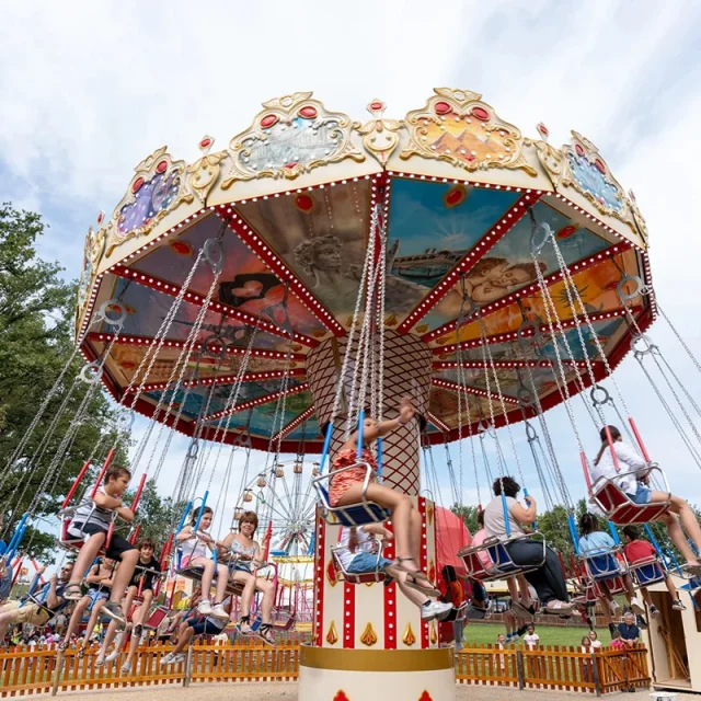 Attraction Flyswing Family Park 2