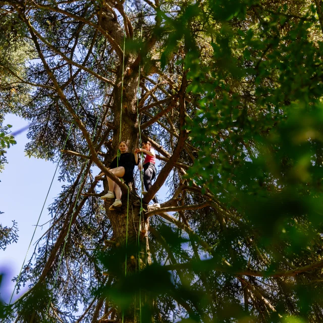 Grimpe Arbre Sud Val Loire Les Conteurs 81