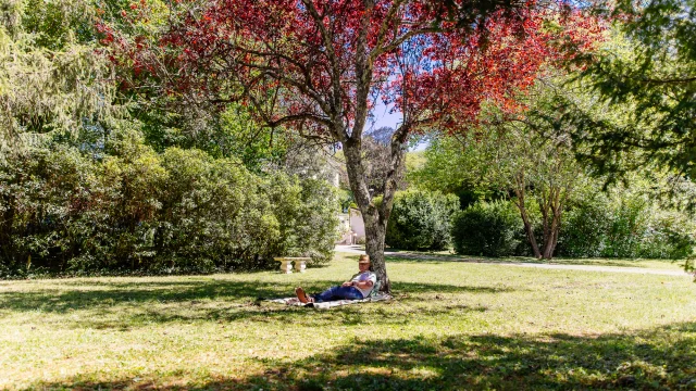 Une personne est allongée sur une couverture dans un parc ensoleillé, à l'ombre d'un arbre aux feuilles colorées.