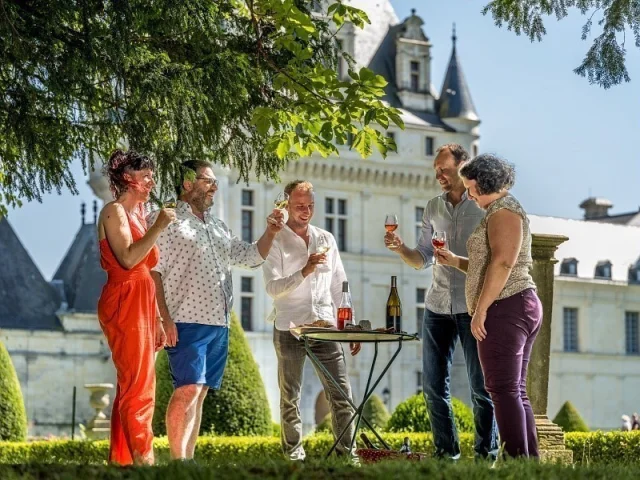 Un groupe de cinq adultes trinque avec des verres de vin rosé dans un parc verdoyant, avec un château historique en arrière-plan.