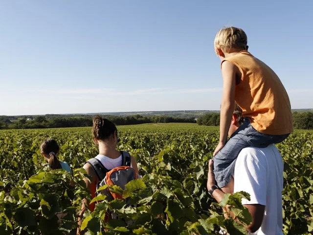 Un adulte porte un enfant sur ses épaules dans un champ de vignes, avec deux autres enfants à côté, tous regardant vers l'horizon. Le paysage est verdoyant et lumineux.