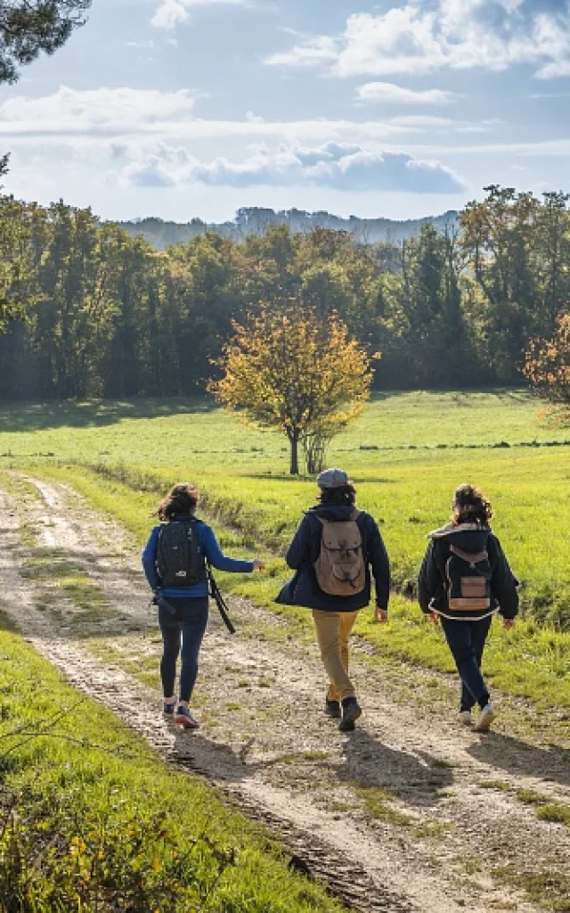 Trois personnes marchent ensemble dans une prairie verdoyante, entourées de forêts d'automne, sous un ciel clair.