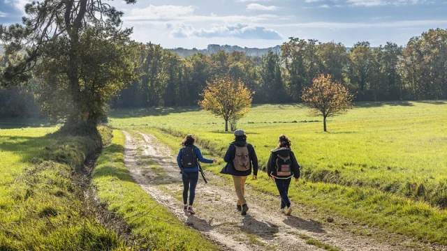 Trois personnes marchent ensemble dans une prairie verdoyante, entourées de forêts d'automne, sous un ciel clair.