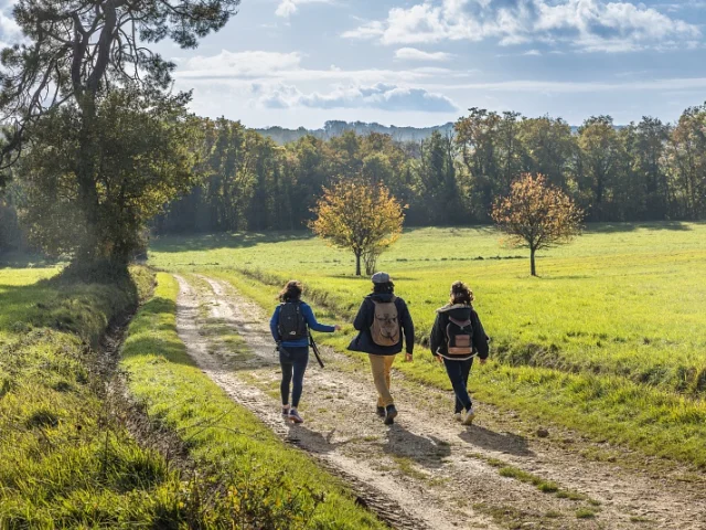 Trois personnes marchent ensemble dans une prairie verdoyante, entourées de forêts d'automne, sous un ciel clair.