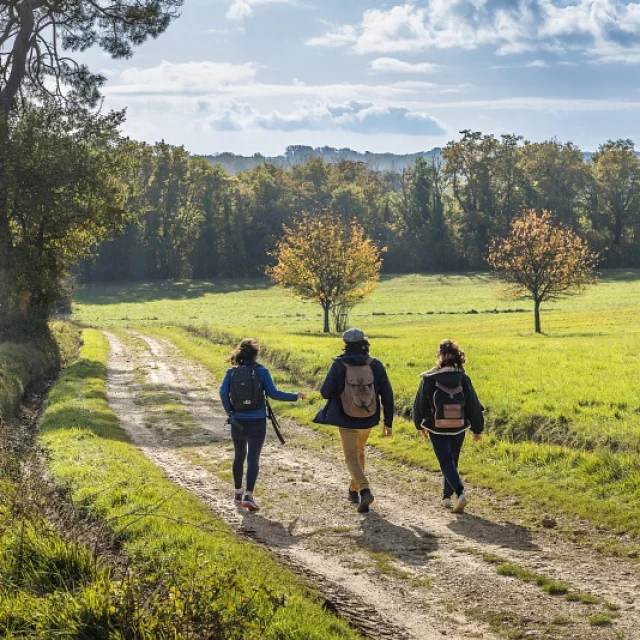 Trois personnes marchent ensemble dans une prairie verdoyante, entourées de forêts d'automne, sous un ciel clair.