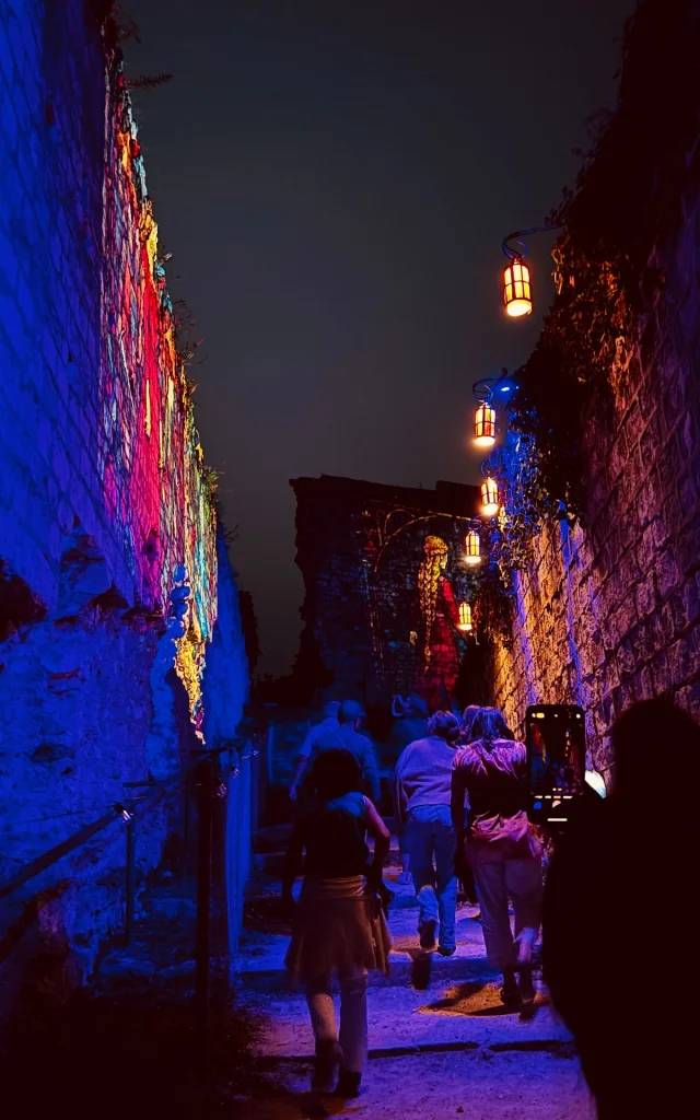 Donjon De Montrichard -Les Nuits Du Donjon