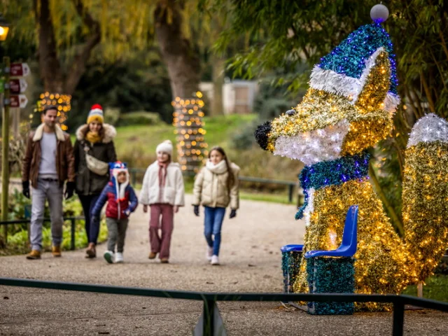 Famille marchant dans le ZooParc de Beauval décoré pour Noël, passant devant une grande sculpture lumineuse en forme de renard.