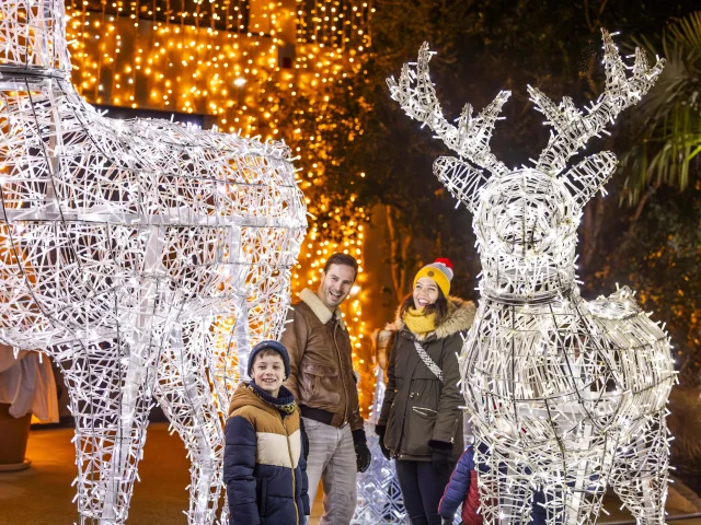 Une famille souriante composée d'un homme, d'une femme et d'un garçon pose le soir entre deux grandes sculptures lumineuses en forme de rennes réalisées avec des guirlandes électriques blanches. Des lumières dorées décorent les arbres et fondent une ambiance festive, rappelant les décorations de Noël.