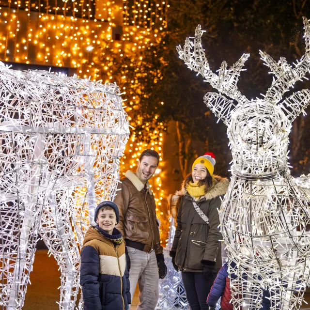 Une famille souriante composée d'un homme, d'une femme et d'un garçon pose le soir entre deux grandes sculptures lumineuses en forme de rennes réalisées avec des guirlandes électriques blanches. Des lumières dorées décorent les arbres et fondent une ambiance festive, rappelant les décorations de Noël.