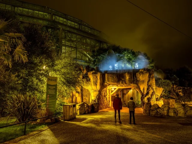 Entrée nocturne du Dôme équatorial du ZooParc de Beauval illuminée pour Noël, avec deux visiteurs observant l’entrée décorée.