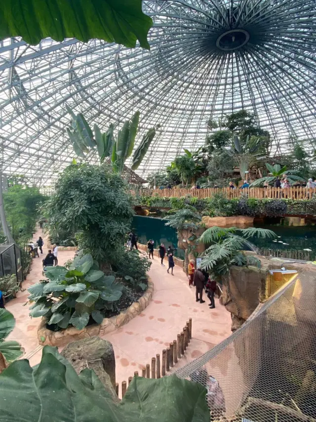 ZooParc de Beauval - Pluie - Conseils de visite - Dôme Equatorial