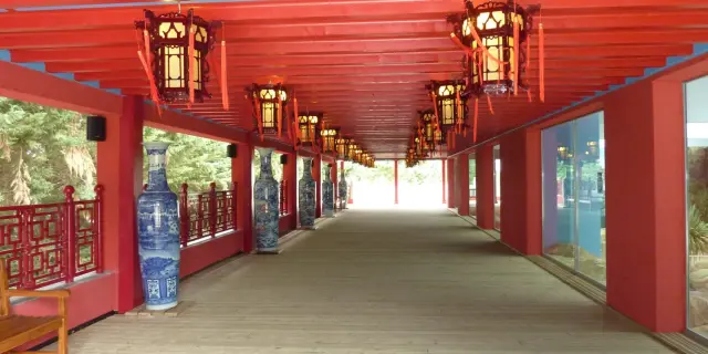 ZooParc de Beauval - Pluie - Conseils de visite - Les Hauteurs de Chine