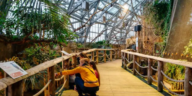 ZooParc de Beauval - Pluie - Conseils de visite - Dôme Equatorial