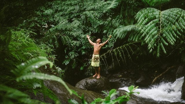 Untamed Nature, Valley of Papenoo - Tahiti Tourisme © Myles Mcguinness