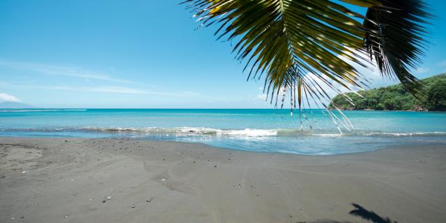 P2_TAHITI_00005_TAHITI_©_Gregoire-Le-Bacon.jpg