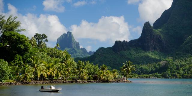 Boat in Cooks Bay with Moua Puta mountain in the background in a green jungle landscape on the tropical island of Moorea, near Tahiti in the Pacific archipelago French Polynesia.