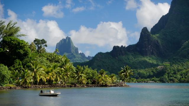 Boat in Cooks Bay with Moua Puta mountain in the background in a green jungle landscape on the tropical island of Moorea, near Tahiti in the Pacific archipelago French Polynesia.