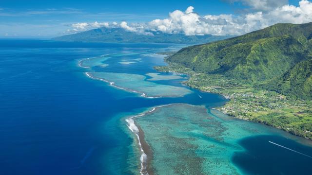 P2 Tahiti 00419 Tahiti ©grégoire Le Bacon 