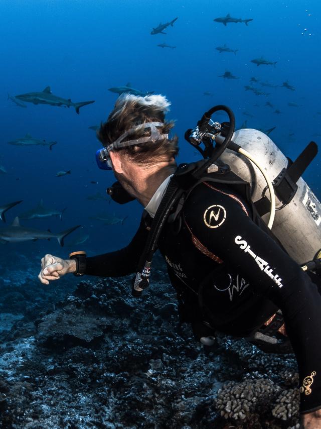 Wall of Sharks in Fakarava - Tahiti Tourisme © Grégory Lecoeur