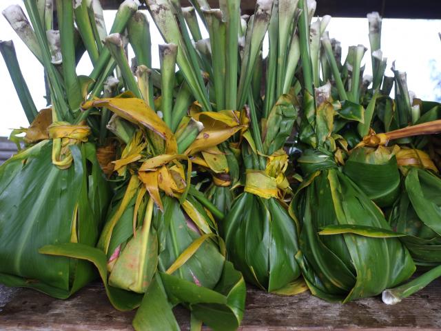 Earth Oven Dishes Wrapped in Auti (Cordyline) Leaves Rurutu The Austral Islands