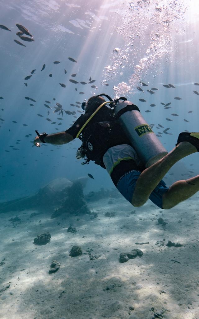 Diver in The Islands of Tahiti - Tahiti Tourisme