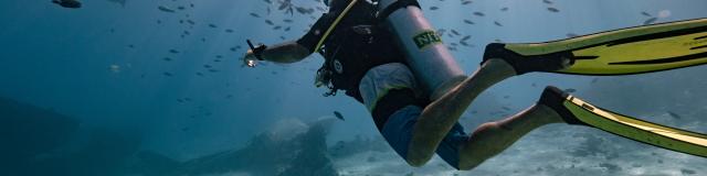 Diver in The Islands of Tahiti - Tahiti Tourisme
