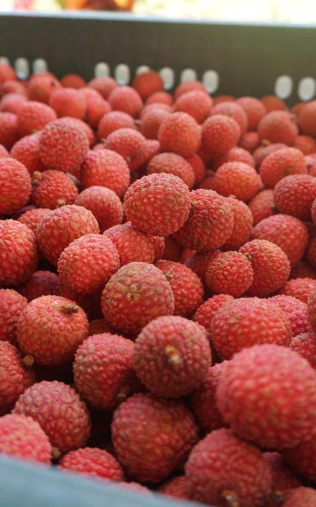 Cageot De Litchi Tubuai - Tahiti Tourisme © Léa Parizot