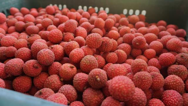Crate of Lychees Tubuai - Tahiti Tourisme