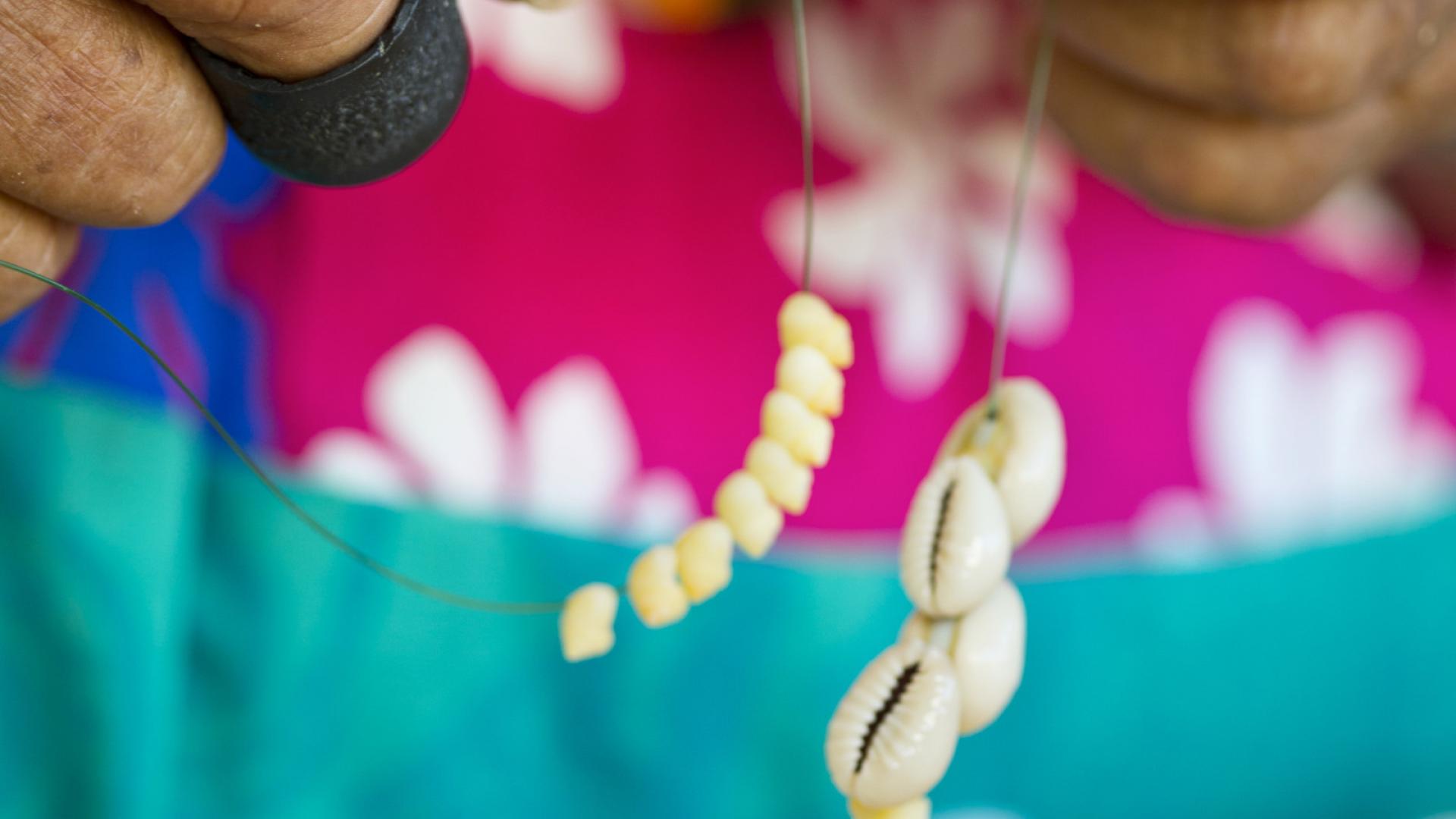 Coquillages de tahiti - France