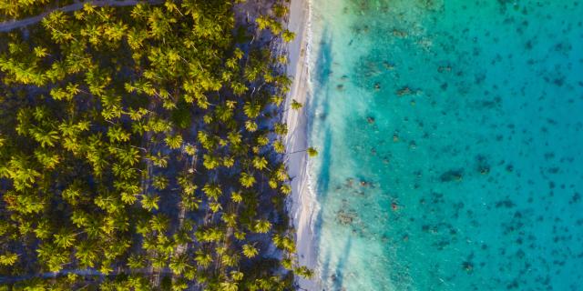Between Land And Sea at Fakarava - Tahiti Tourisme