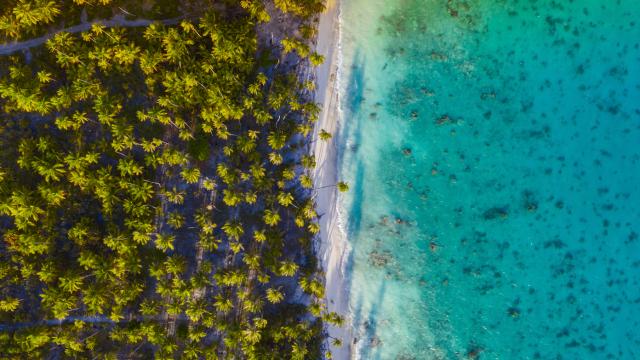 Between Land And Sea at Fakarava - Tahiti Tourisme