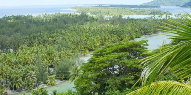 Huahine île Sauvage - ©Tahiti Tourisme