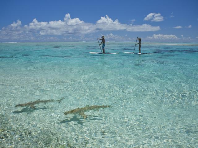 Tikehau Lagoon - Tahiti Tourisme © Tahiti Tourisme