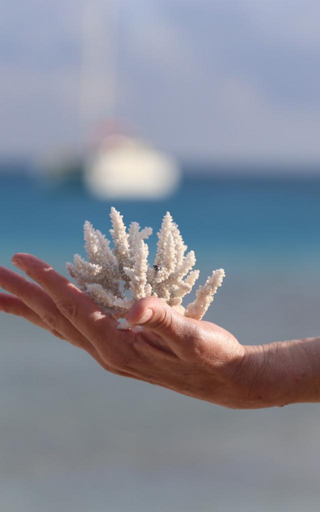 Subtile Croisière Fakarava - Tahiti Tourisme