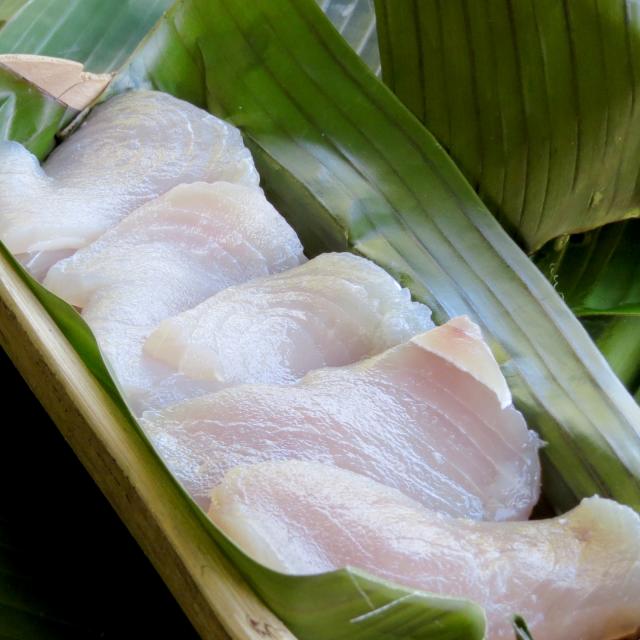 Slices Of Fresh Fish