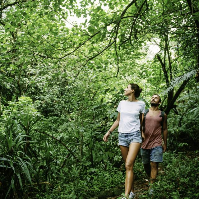 A Couple Hiking in à Moorea